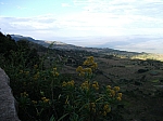 DSCF2023.jpg