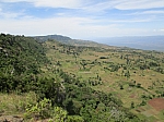 IMG_0142.jpg
