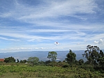 IMG_0160.jpg