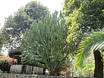 IMG_0183.jpg