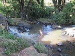 IMG_0200.jpg