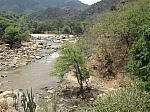 IMG_0425.jpg