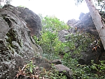 IMG_0470.jpg