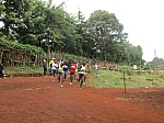 IMG_0490.jpg