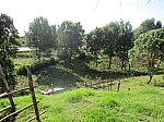 IMG_0507.jpg