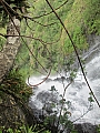 IMG_0535.jpg