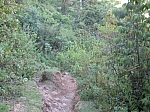 IMG_0611.jpg
