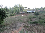 IMG_0619.jpg