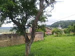 20130628_184312.jpg