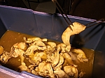 DSCF2856.jpg