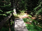 DSCF1215.jpg