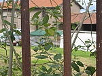 img_4413.jpg
