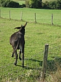 img_2526.jpg