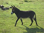 img_2527.jpg