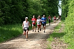IMG_3799.JPG IMG_3799.JPG