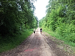 SNC00034.jpg SNC00034.jpg