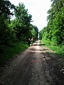 SNC00084.jpg SNC00084.jpg