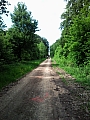 SNC00101.jpg SNC00101.jpg