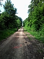 SNC00102.jpg SNC00102.jpg