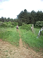 SNC00118.jpg SNC00118.jpg
