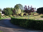 DSCF0446.jpg
