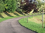 DSCF0460.jpg