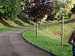 DSCF0464.jpg