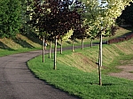 DSCF0488.jpg