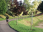 DSCF0547.jpg