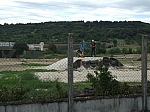 DSCF0847.jpg