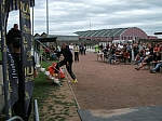DSCF1013.JPG