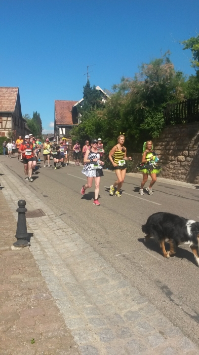 20140615_101536.jpg