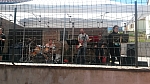 20140615_114825.jpg
