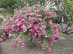 DSCF0861.jpg