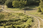 _M7I4082.jpg