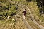 _M7I4090.jpg