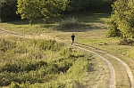 _M7I4100.jpg