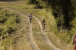 _M7I4110.jpg