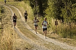_M7I4140.jpg