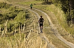 _M7I4162.jpg