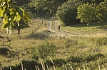 _M7I4171.jpg