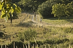 _M7I4177.jpg