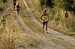 _M7I4271.jpg