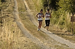 _M7I4305.jpg