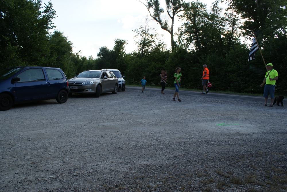 DSC08445.jpg