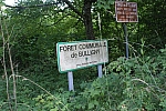DSC08401.jpg